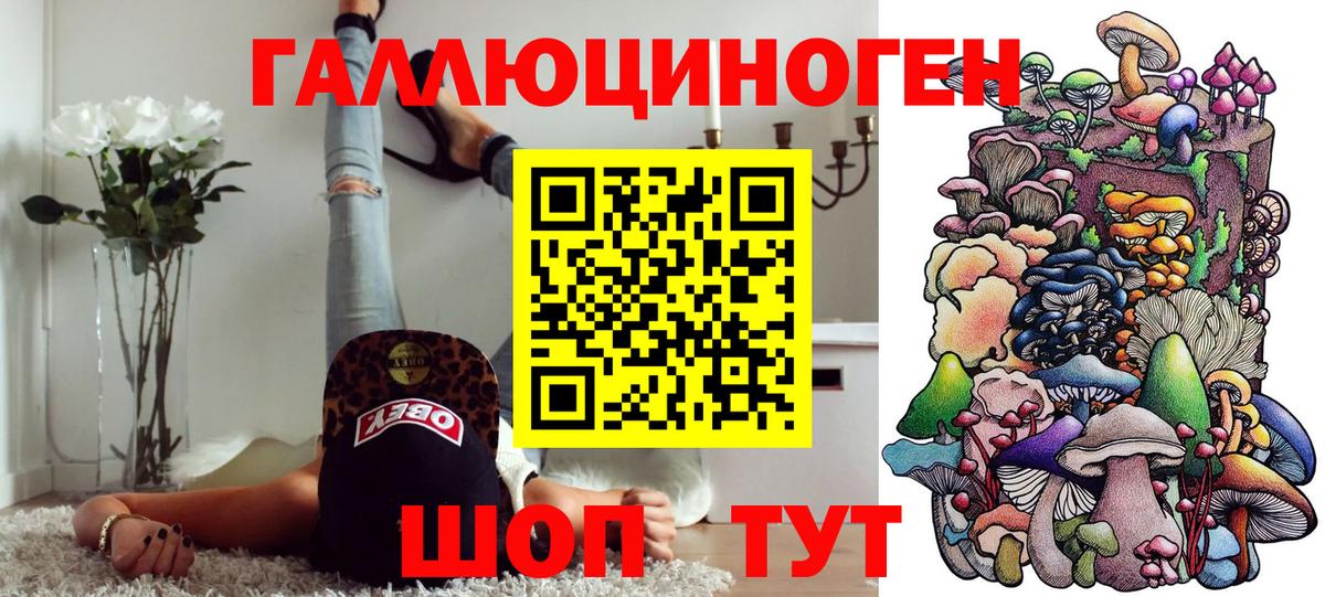 Галлюциногенные грибы Cubensis Майский
