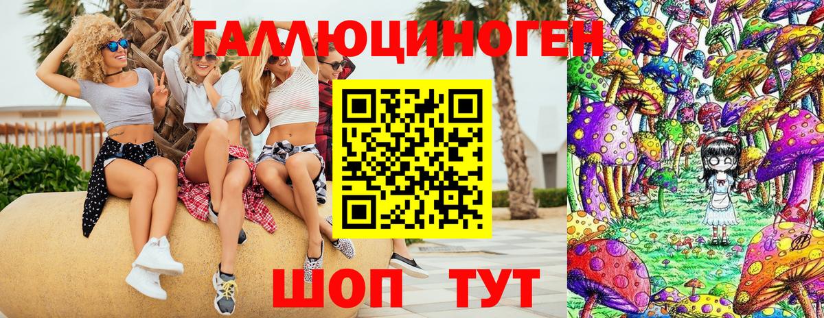 где можно купить   Вход с VPN  Майский  Псилоцибиновые грибы Psilocybine cubensis 